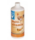 Backs Volaille Multivitamines