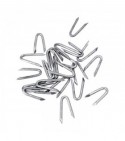 5KG CRAMPiONS de 3.1 : 3.4,  3.8 et 4.2 cm de long