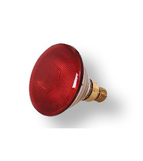 Lampe Chauffante Poussin, Lampe Infrarouge Chauffante, Lampe De