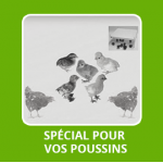 TOUTES POUR VOS POUSSINS : ÉLEVEUSES, PLAQUES CHAUFFANTE ETC.