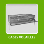 CAGES VOLAILLES