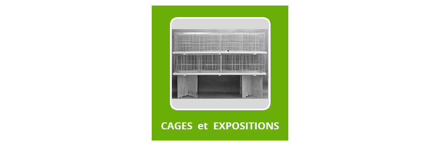Caisses de Transport | Cage Exposition
