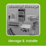 Elevage, incubation volaille