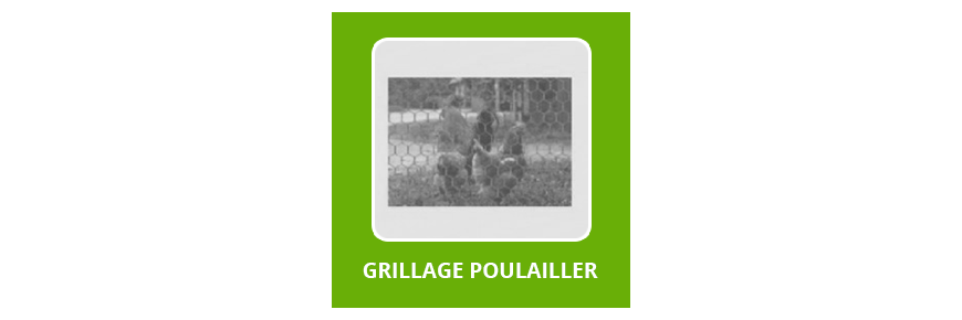 Grillage Poulailler | Grillage De Poulailler | Grillage A Poulailler