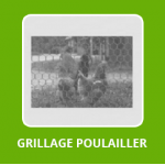 Grillage poules par palette