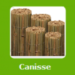 CANISSE