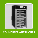 Couveuses Autruches 