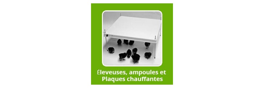Lampe Chauffante Poussin Pas Cher | Ampoule Chauffante Poussin